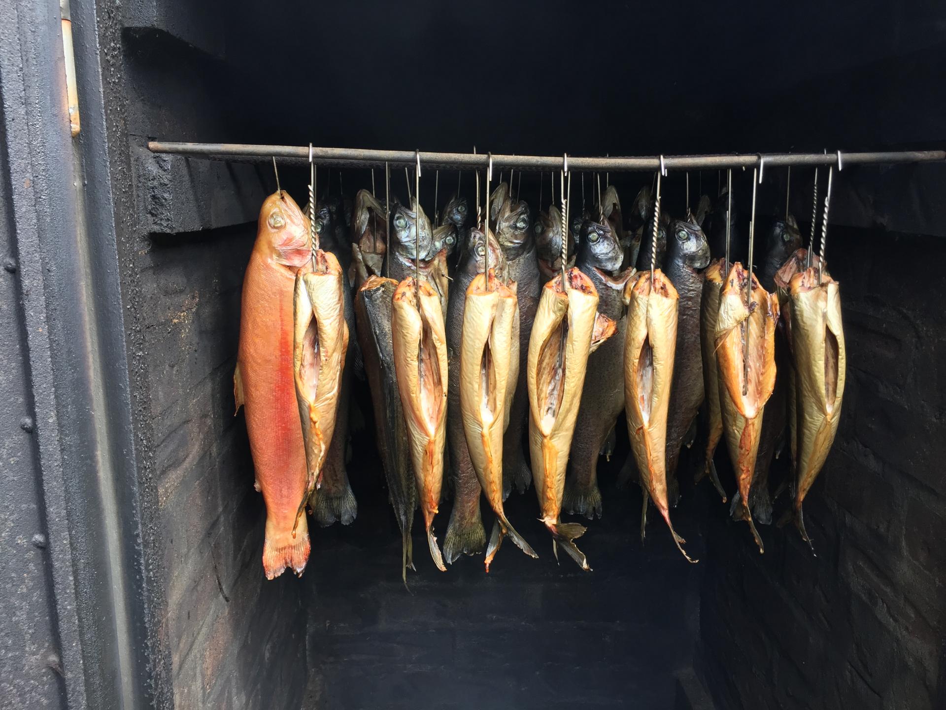 Uferbereich am Zeuthener See